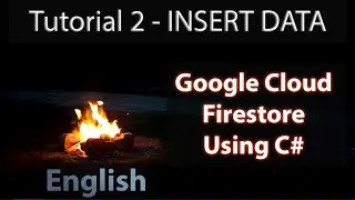 C# Firestore Tutorial 2 | How to Store Data | SET Data | English
