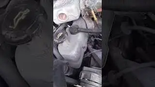 Ruido de buzos / punterias Ford 4.9 #ford #automobile #mecanicaautomotriz #tips