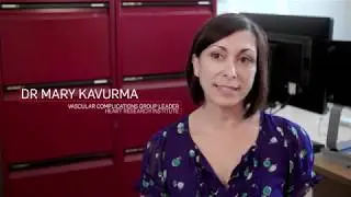 New treatment to prevent limb amputation due to cardiovascular disease (peripheral artery disease)