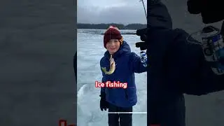Ice fishing i caught this one by myself #icefishing #fishing #perch