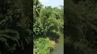 River side #nature #subscribemychannel #djidrone #mini2se