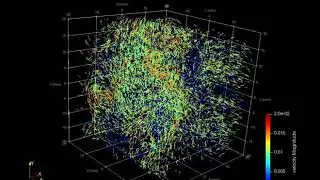Lagrangian particle tracking (from OpenLPT in JHU-NI-LAB)