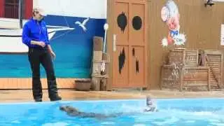 Gulf World Marine Park