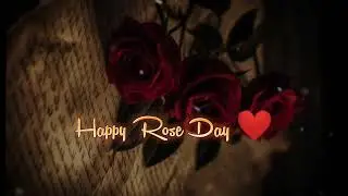 Happy rose day 🌹| Rose day status | 7 February whatsapp status | Romantic Shayari status #roseday