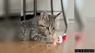 Christmas Pet Dogs Toys Teething Toys Gift Gingerbread Man Cat And Dog Series Plush Chew Toys Cartoo