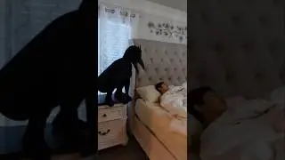 Epic Jump Scare Reactions 😱 #596