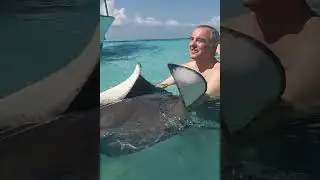 Holding a Wild Stingray in the Open Ocean at Grand Cayman #stingray #grandcayman #cruiseexcursion