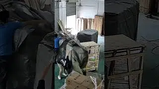 💎: Чем наши менеджеры шокируют клиентов?