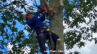 E Cường leo Cưa Cây Sao nhiều nhánh sát hàng rào có nhiều độ khó 