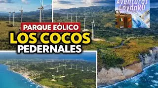 Sur Profundo | Parque Eólico, Bahía de las Águilas y el gran final en Pedernales”