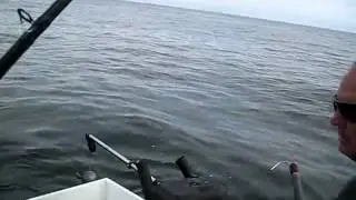 Pacific Rim Fishing Charters