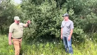 Managing Invasive Woody Plants - Autumn Olive (Elaeagnus umbellata) Part 2