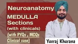 Medulla sections |  With clinical anatomy | Easy diagrams | Medico Paji 