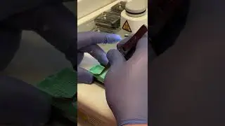 Embedding human teeth 🦷 #histology #processing #tissueprocessing #teeth