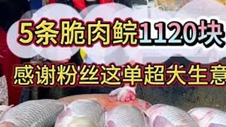 大生意来了，5条脆肉鲩￥1120！#杀鱼技术 #刀工 #脆肉鲩 #大生意