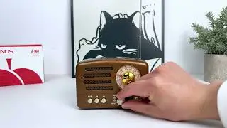 PRUNUS J-160 Retro Transistor Radio Battery Operated AM FM SW Radio, Small  Portable Radio