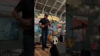 JP Soars 4 strings country blues