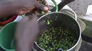 Discover the Natural Blood Tonic for Optimal Health