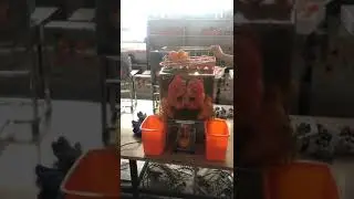 Orange Squeezer