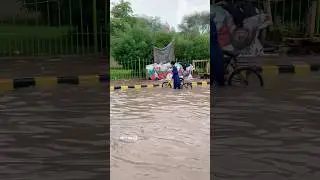 Urban Flooding After Heavy Rain In Multan | Daily Multan #dailymultan
