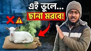 শীতে ছাগল ছানার মৃত্যুর আসল কারণ জানলে চমকে যাবেন! 😱 (ভুল চিকিৎসায় ক্ষতি)