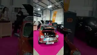 STARS AT EVERYTHING ELECTRIC SHOW FANBOROUG 2025 | #shorts #newcars2025 #electriccars #motorshow #uk
