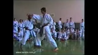 Meridian punch - Tsuguo Sakumoto  | Legendary Budo Masters