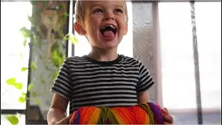 Action for Children: 50 Years of Care & Advocacy