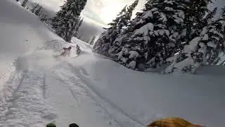 Living on Video Chasing the Gnar Bunny