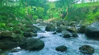 Fall Asleep Fast with River Sounds | Gentle Flowing Water White Noise for Peaceful Sleep