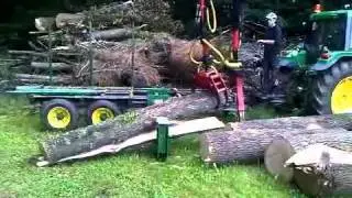 Baumdoktor beim Spalten von Eichenstämme