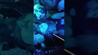 [4] Smalltown DJs at Hollywood Theatre ☠️ Halloween 2025 ☠️ Vancouver, BC