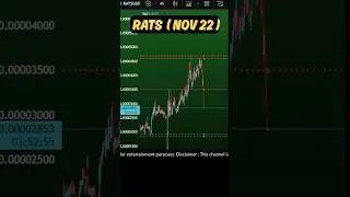 Rats coin bounce? Rats coin price prediction and news | 1000rats crypto news  Nov 22, 2025