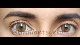 Siesta Black Romance Mandarim - (Brilliant Eyes)