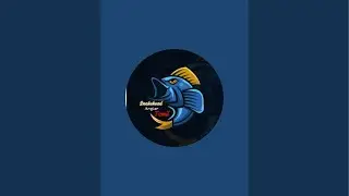 Snakehead Angler Tamil  is live fishing 🎣 and surf fishing ok