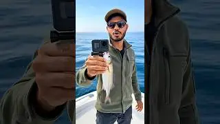 Fish Photography #ytshorts #facts #youtubefeeds #ocean #fish #fishing #funny
