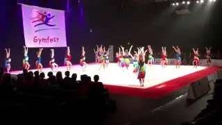 HPL Seniors at the 2016 Scottish Gymfest (Saturday performance)