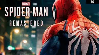 Spider-Man Live Stopping Crime in the City