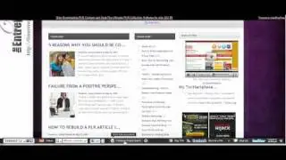 The Entrepreneur Diva - How to Use the Wibiya Bar