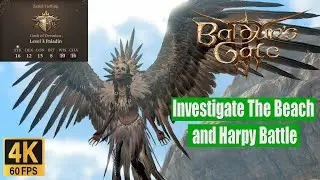 Baldur's Gate 3 Walkthrough Investigate The Beach and Harpy Battle