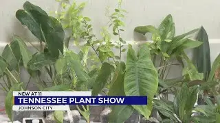 Tennessee Plant Show turns Johnson City into plant lover&rsquo;s paradise