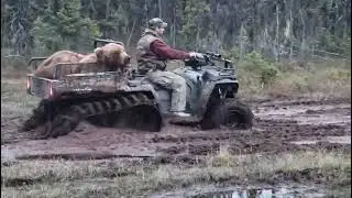 Polaris Big Boss 6x6 with Alaska Bush Tracks hauling home a bear in Alaska