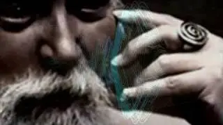 Robert Anton Wilson On The Acceleration To A New Better Reality
