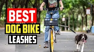 Top 5 Best Dog Bike Leashes in 2025