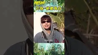 芹姊~他欺負我【飢餓遊戲】#shorts #hungergames #飢餓遊戲 #蔡黃汝 #峮峮 #吳函峮 #王仁甫 #許孟哲 #孫協志 #卞慶華 #Gino #楊子儀 #小優 #林彥君