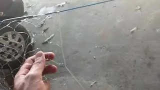 DICA TERMINO ENTRALHE DE TARRAFA