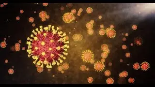 Event 201 | Coronavirus Prep Event months before the 