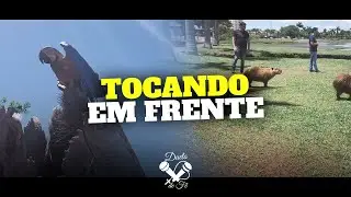 Alvaro e Daniel - Tocando em Frente (Cover)