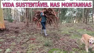 PRIMEIRA NEVE-RECEITAS COM O QUE TENHO NA HORTA- #vivernocampo#vidasustentável#simpleliving