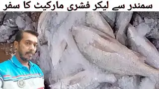 journey from the sea to the Fishri Market 